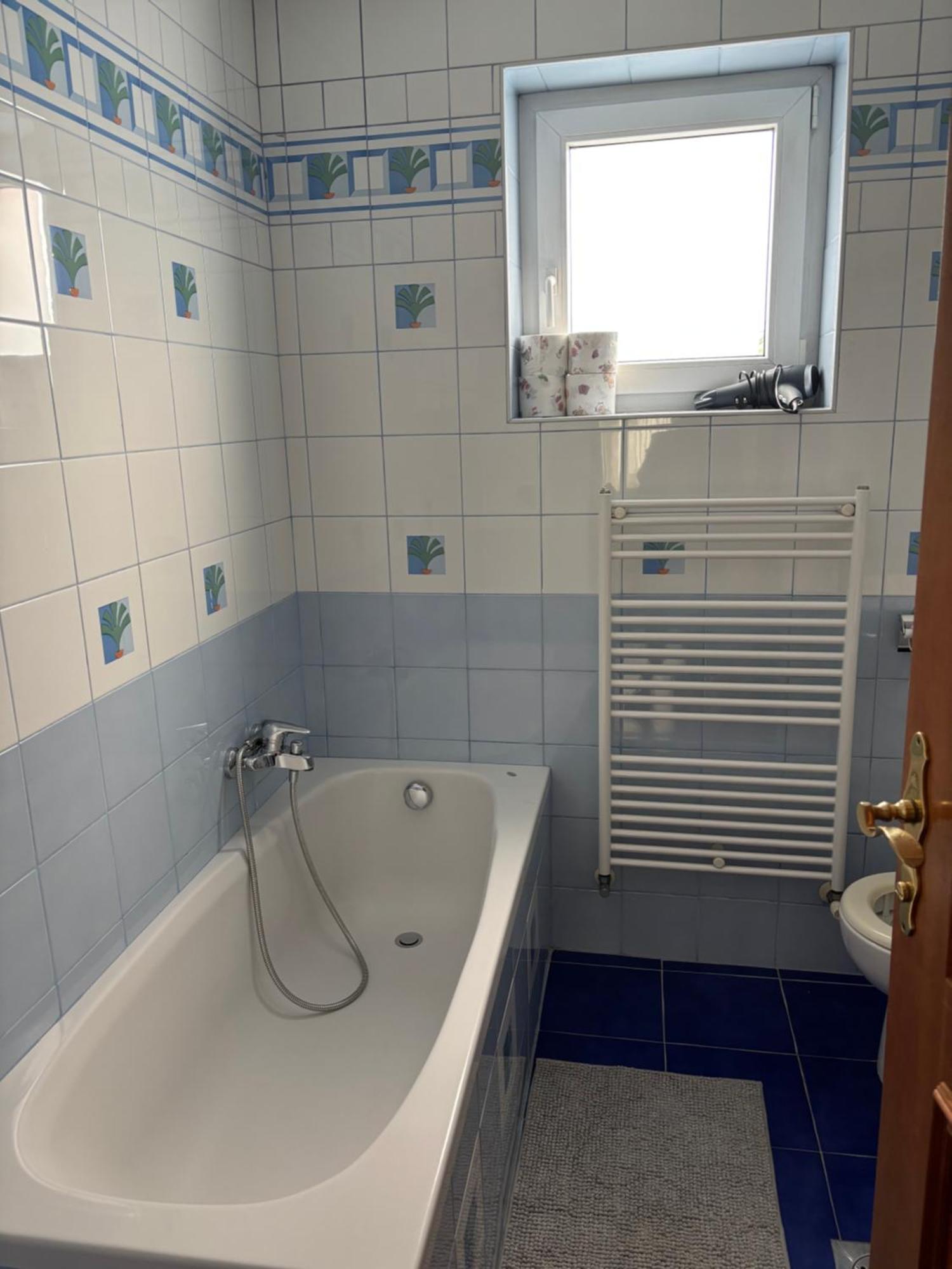 Apartment Trnovo Lunca *